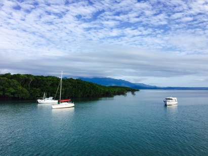 A beautiful blue bay with sailboats in Port Douglas, Queensland