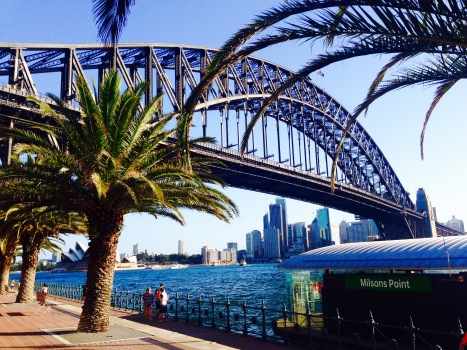 The Sydney Harbour Bridge sits behind a row of palm trees